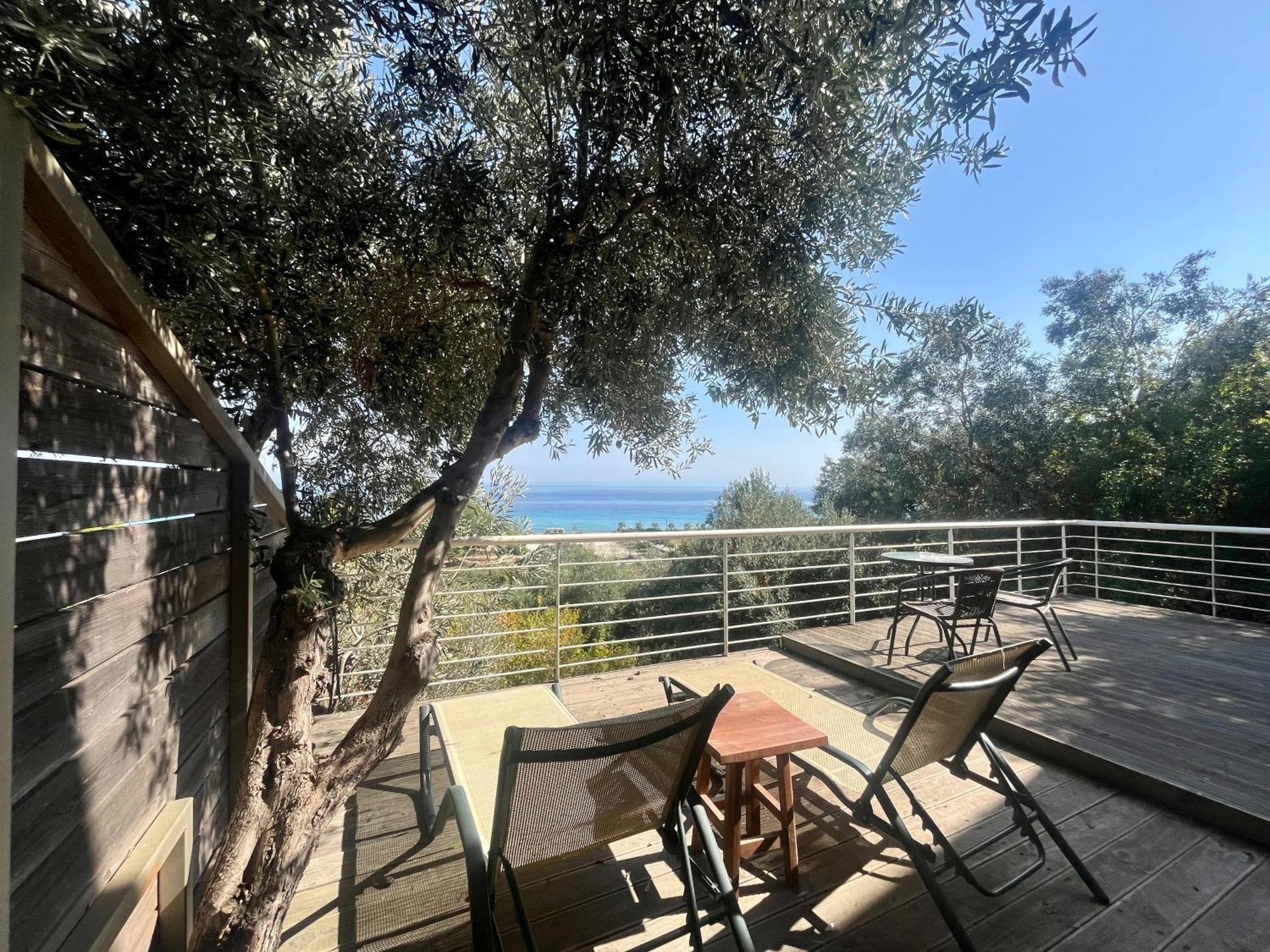 The Beach House - Apartments & Studios (Adults Only) Áfitos Extérieur photo